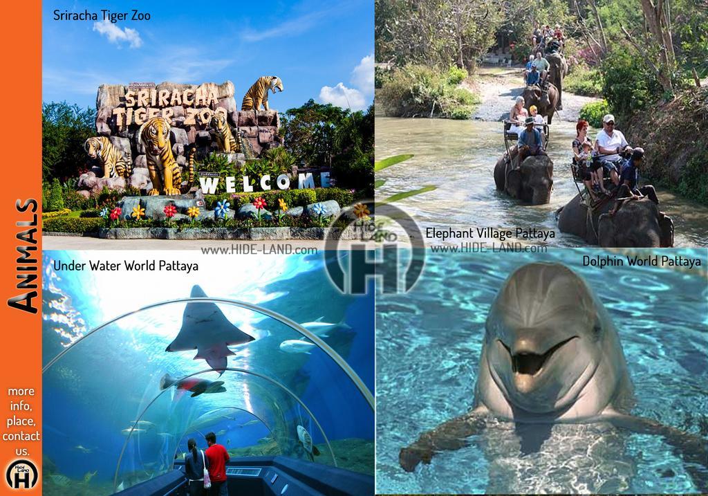 Hideland - The Luxury Tropical Villa Pattaya Zewnętrze zdjęcie